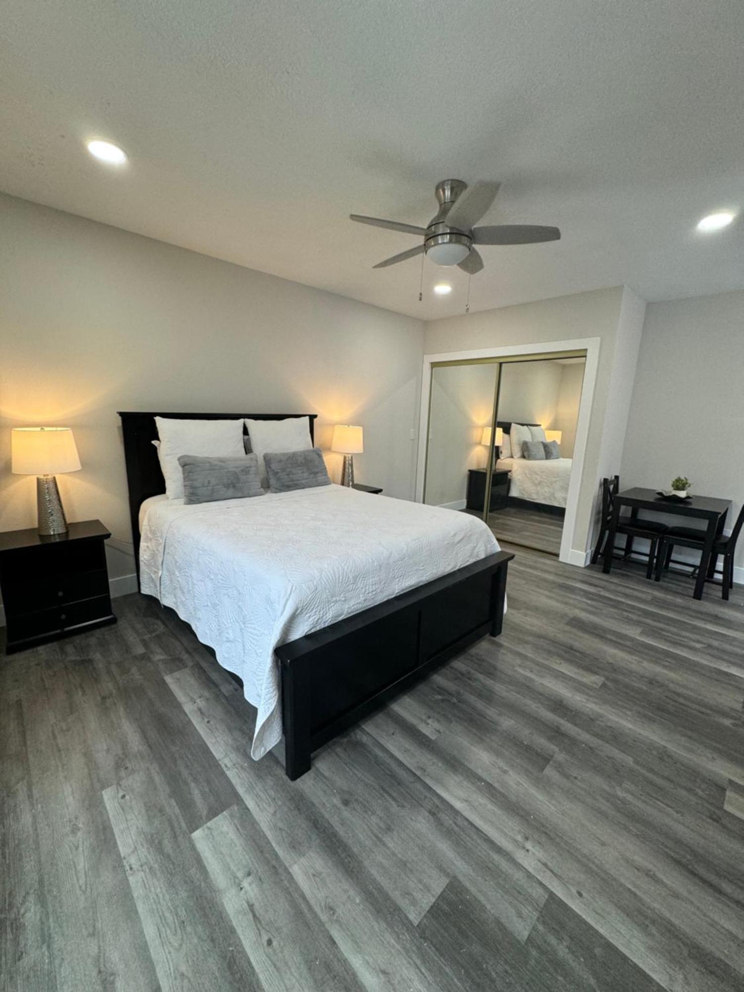 טאמפה Deluxe Apartment Whit Laundry מראה חיצוני תמונה