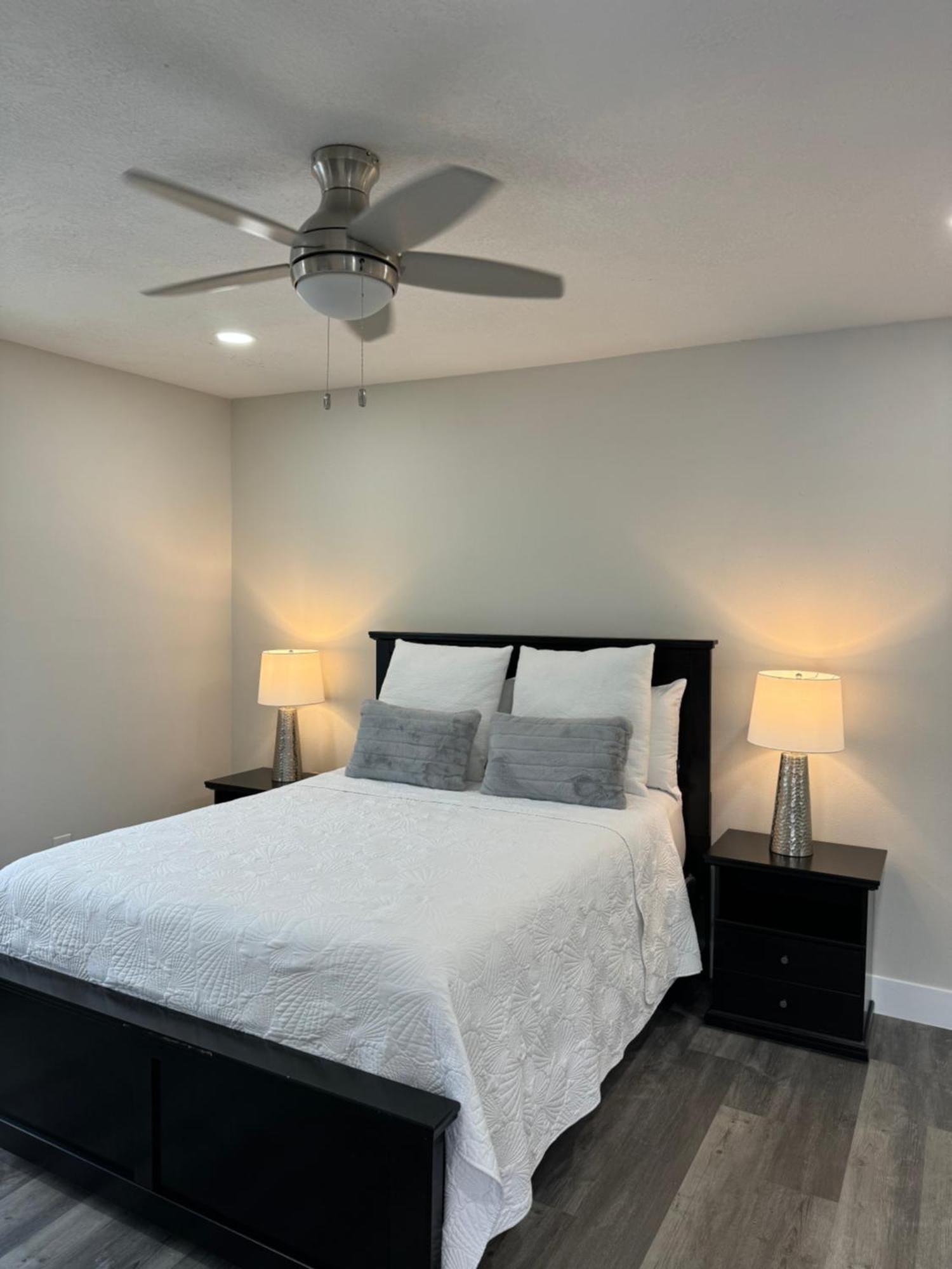 טאמפה Deluxe Apartment Whit Laundry מראה חיצוני תמונה